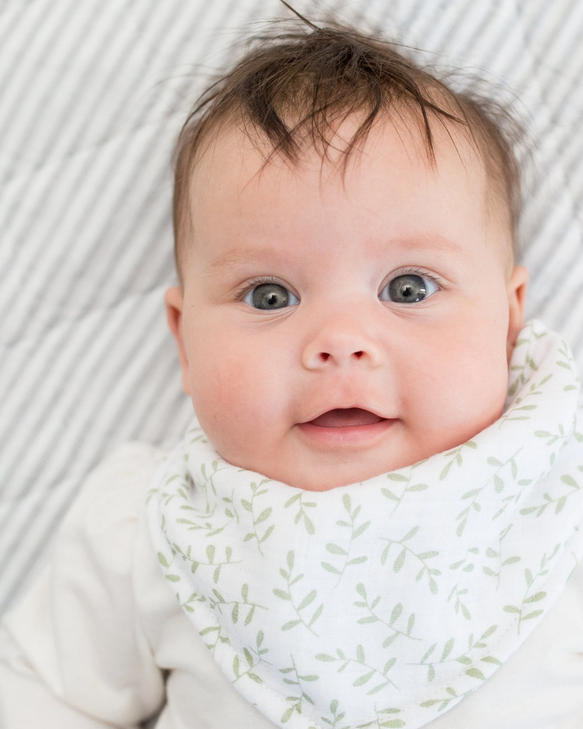Daisy & greenery bibs (2-pack)