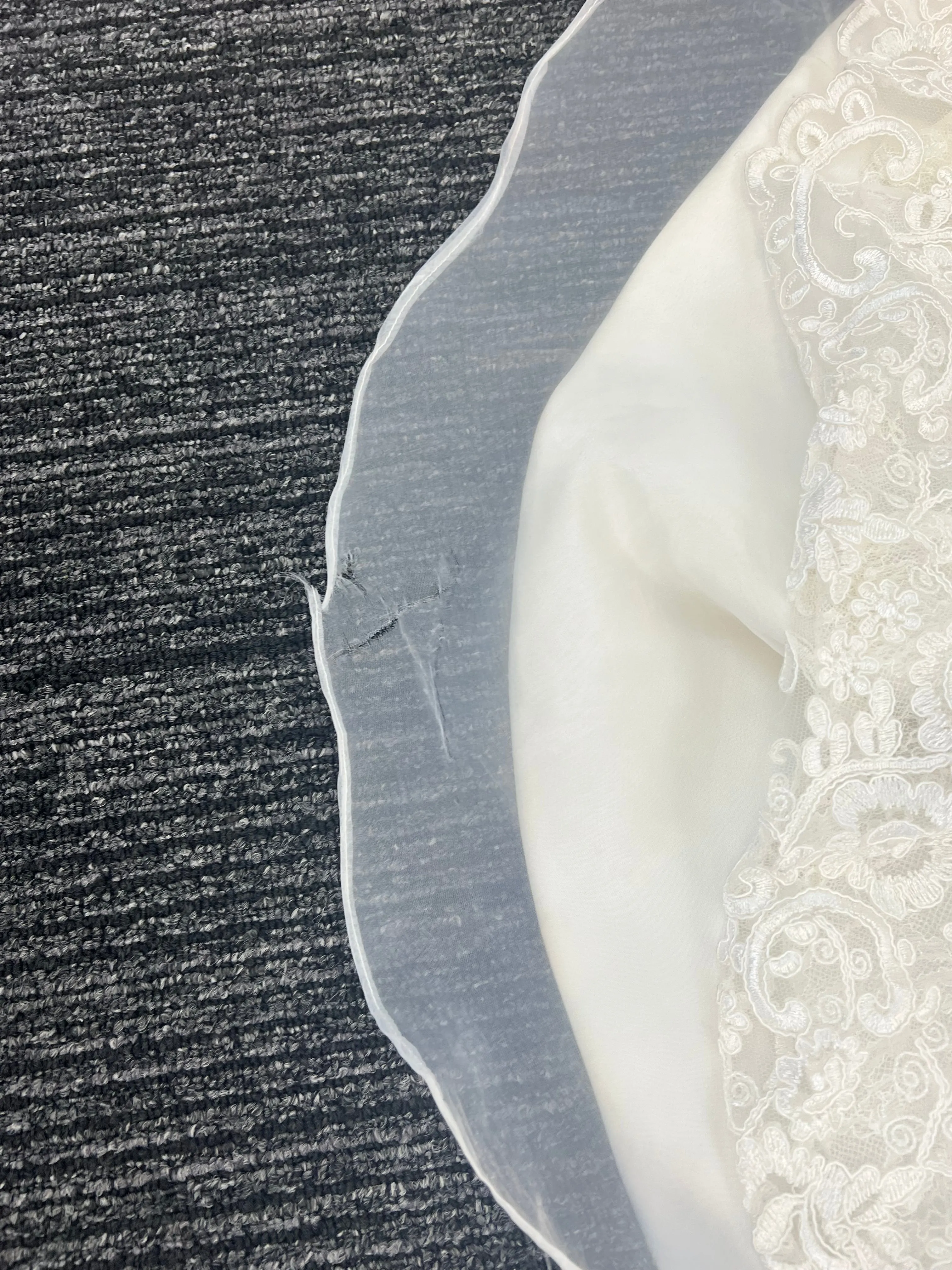 Peony-Stella 223029