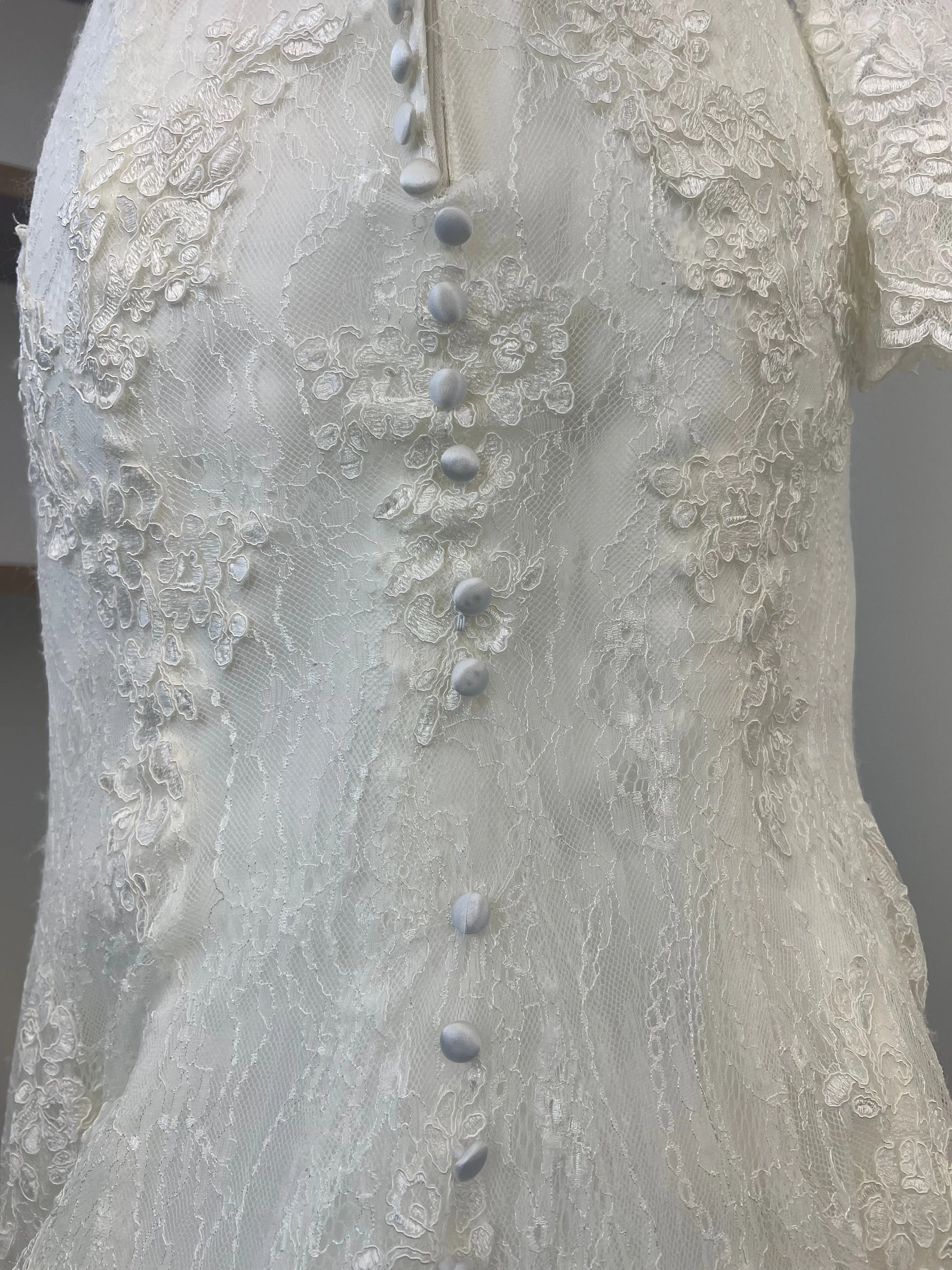 Peony-Stella 223029