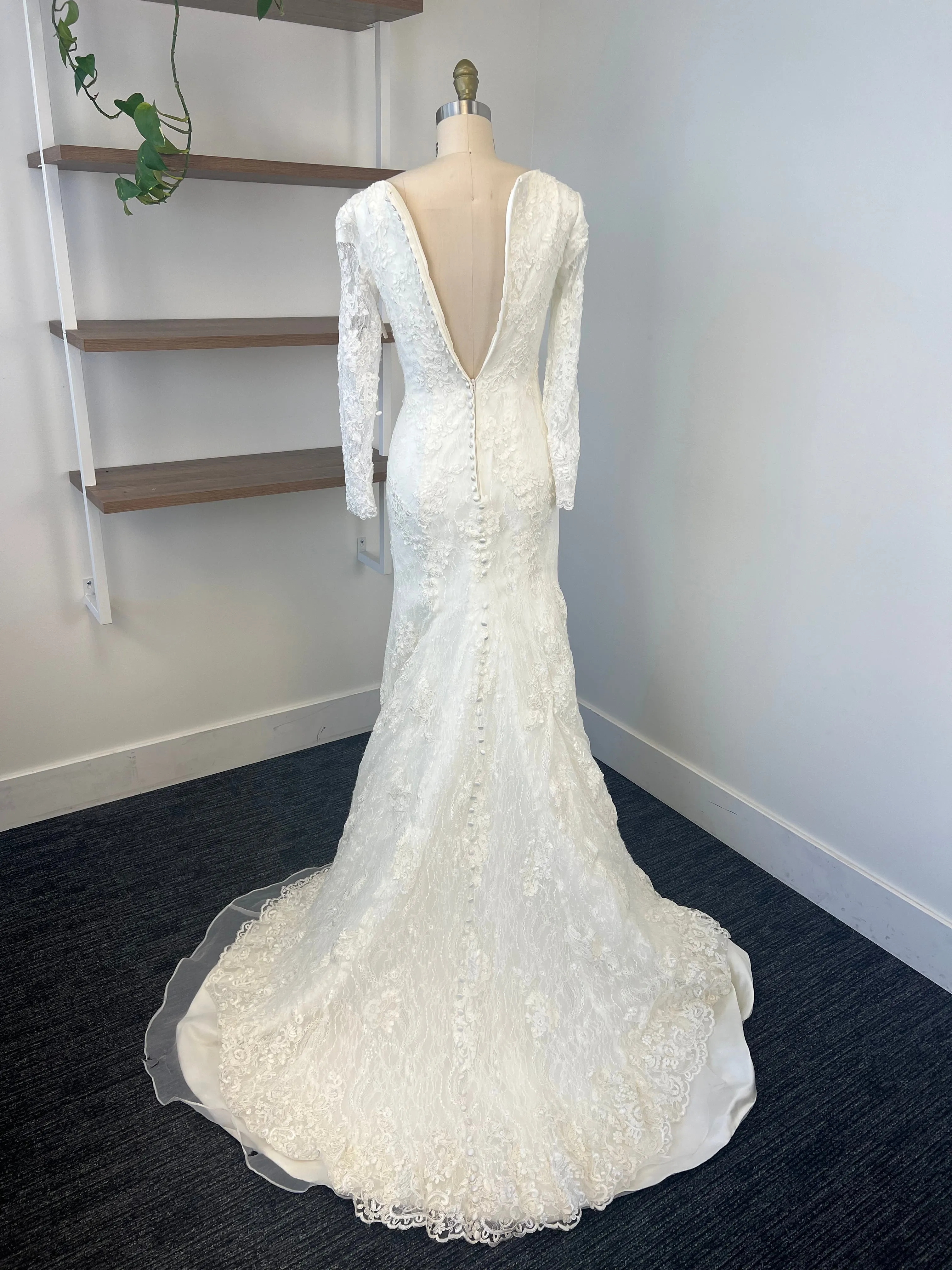 Peony-Stella 223029