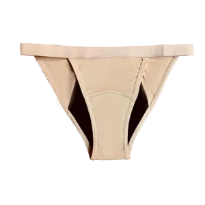 Period Proof High Cut Undies