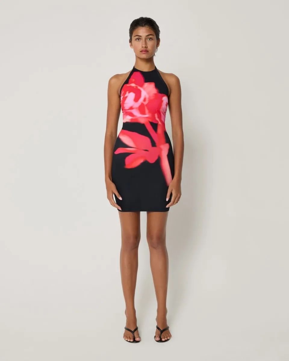 Smooth Stretch Halter Mini Dress | Black Peony
